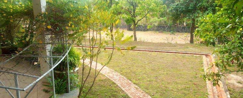 photo_2019-07-18_11-54-24