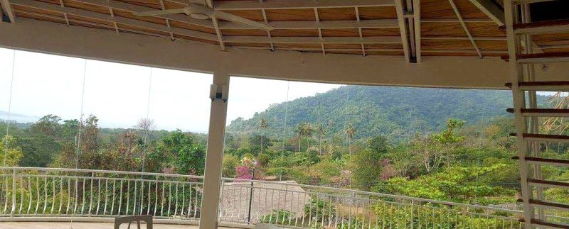 photo_2019-07-18_11-54-25