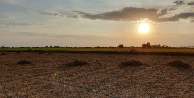 65362850_446958289431297_6490298756578148352_n