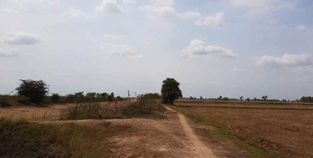 67682929_2625623657456188_7183003975568850944_n