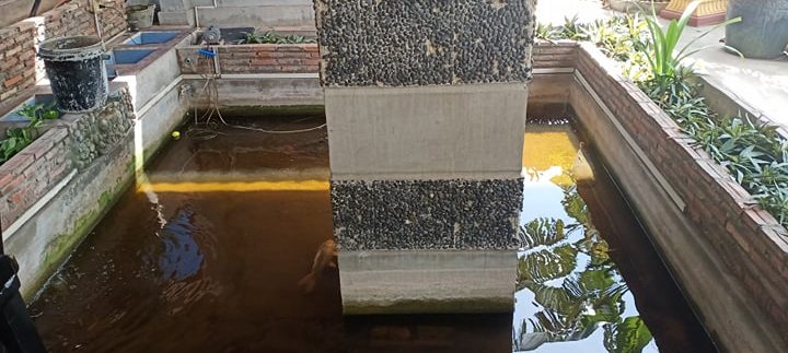 68669963_2359761837621169_909264320527859712_n