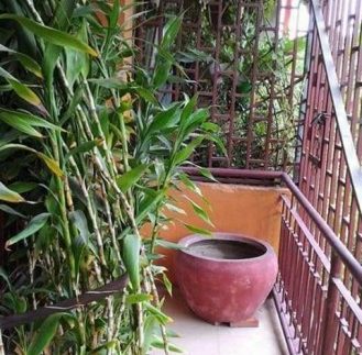 71150196_516503982514488_8920504128690454528_n