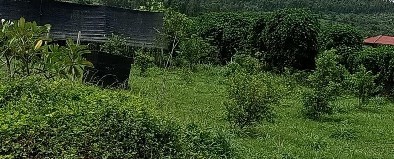 photo_2019-08-05_10-20-00