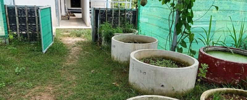 photo_2019-08-05_10-20-01