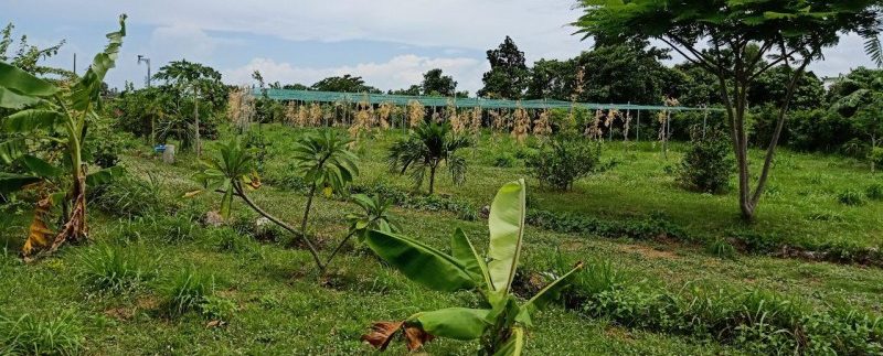 photo_2019-08-05_10-20-02 (2)