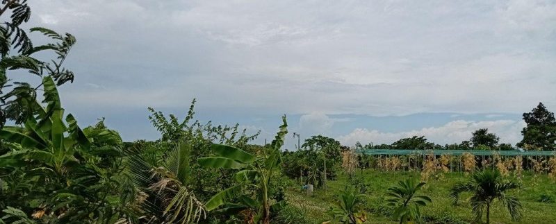 photo_2019-08-05_10-20-02