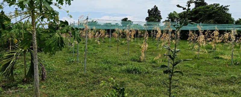 photo_2019-08-05_10-20-03