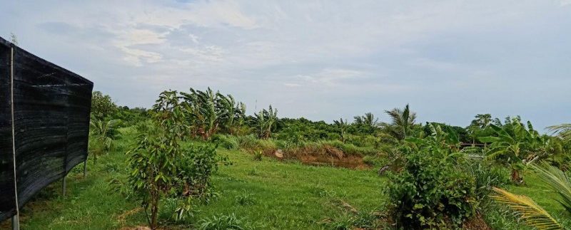 photo_2019-08-05_10-20-04 (4)