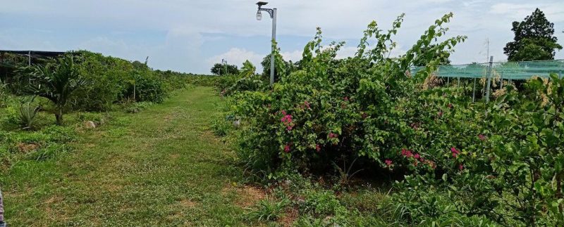 photo_2019-08-05_10-20-04