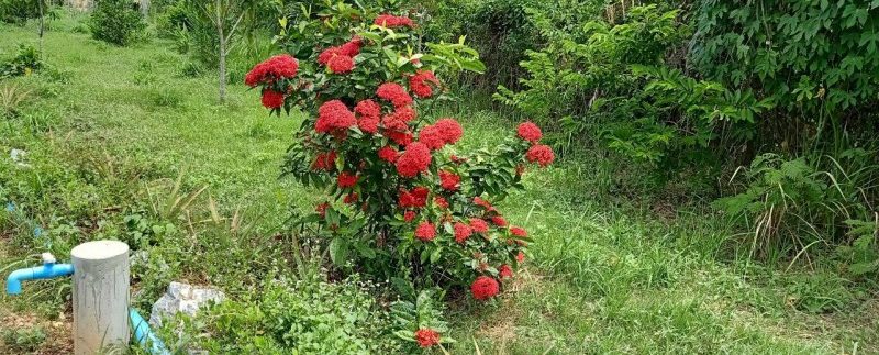 photo_2019-08-05_10-20-05