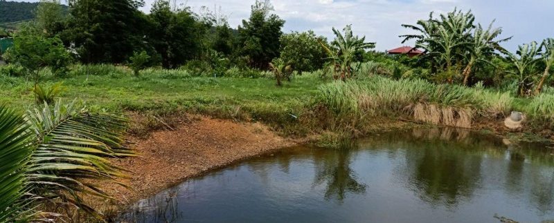 photo_2019-08-05_10-20-06 (3)