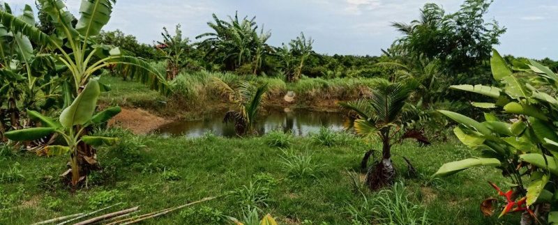 photo_2019-08-05_10-20-06