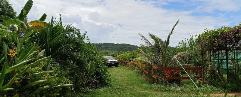 photo_2019-08-05_10-20-08 (3)