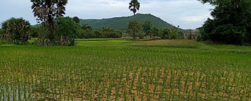 photo_2019-08-05_10-33-44