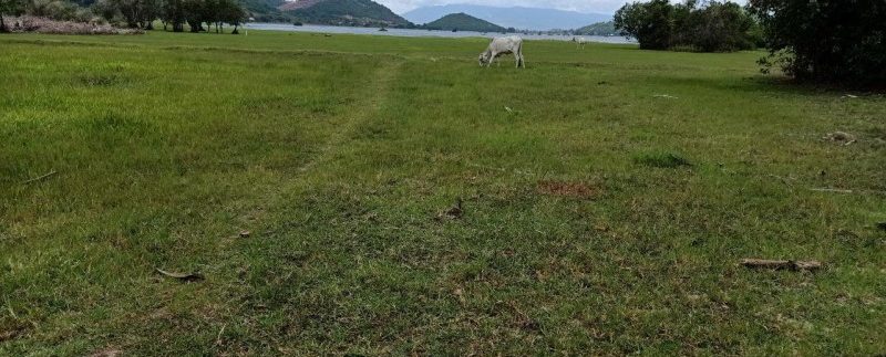 photo_2019-08-05_10-33-45