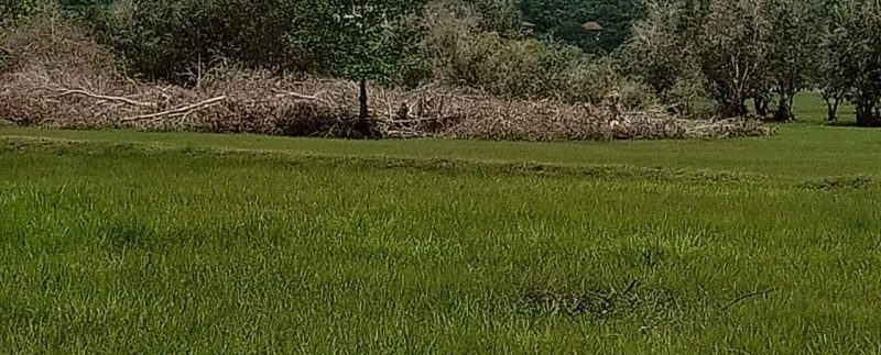 photo_2019-08-05_10-33-48 (2)