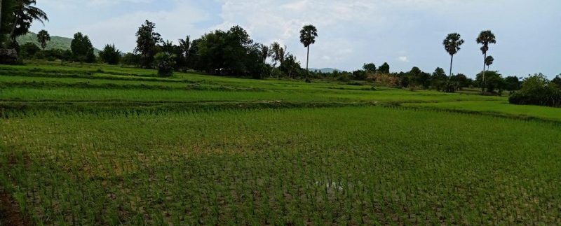 photo_2019-08-05_10-33-48 (3)