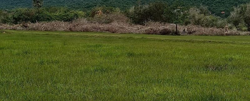 photo_2019-08-05_10-33-48