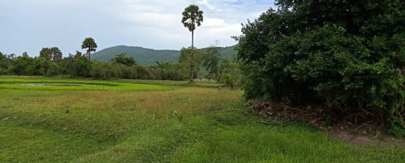 photo_2019-08-05_10-33-49 (2)