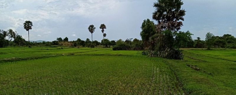 photo_2019-08-05_10-33-49