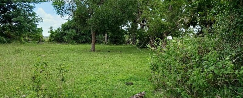 photo_2019-08-05_10-33-50 (2)