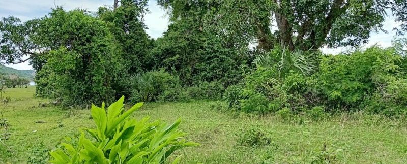 photo_2019-08-05_10-33-50