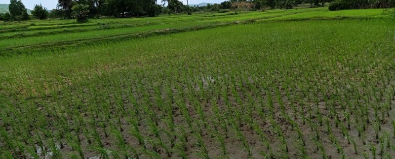 photo_2019-08-05_10-33-51 (2)