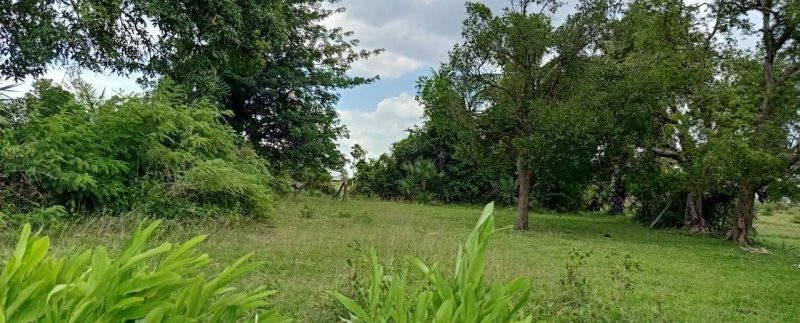 photo_2019-08-05_10-33-51