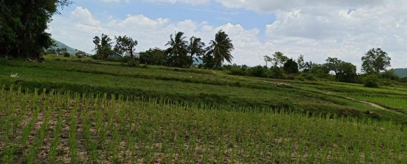 photo_2019-08-05_10-33-52 (2)