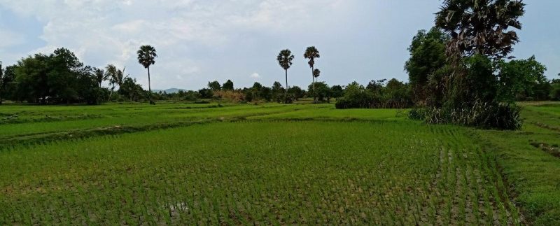 photo_2019-08-05_10-33-52
