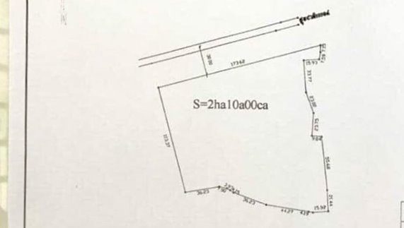 69799197_471651233686667_6895886133385756672_n