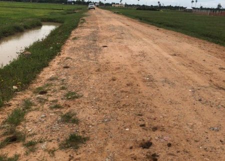 land for sale at siem reap (1)