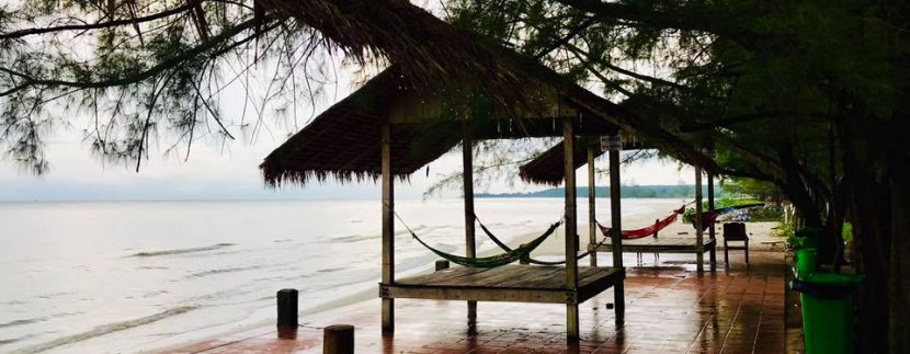 60723296_493348941403216_2793946448763289600_n