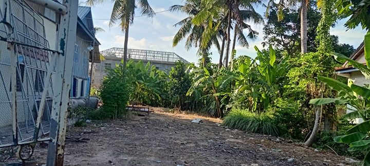 71316827_496898594242734_7312920882232426496_n