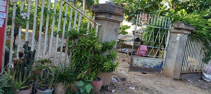 71381159_2483556251702564_5336787269493719040_n