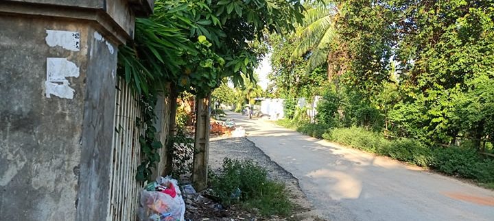 71834373_454960665361795_7831051176882733056_n