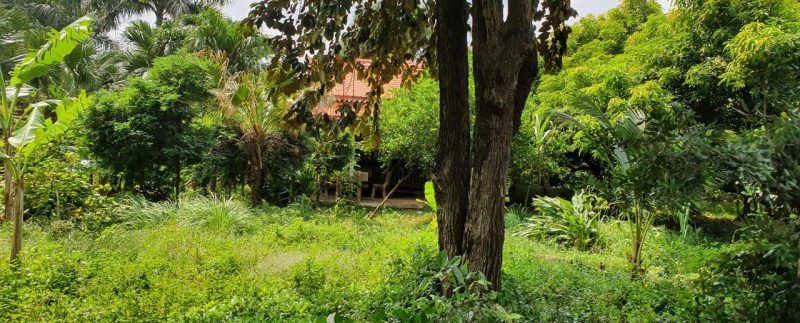 photo_2019-10-30_14-22-51 (3)