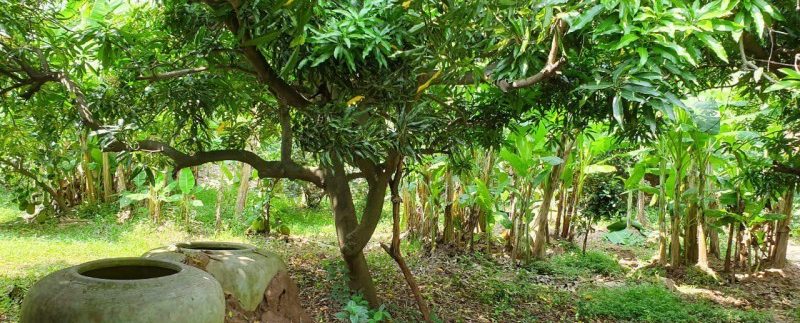 photo_2019-10-30_14-22-51