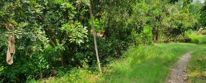 photo_2019-10-30_14-22-53 (2)