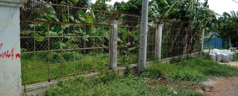 78505833_1387236791440396_5236254729478078464_n