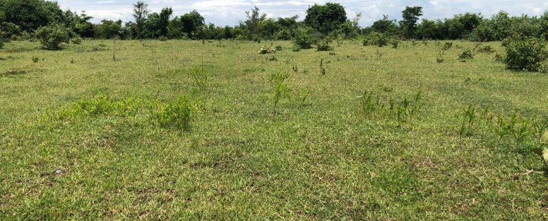 photo_2019-09-09_10-38-28