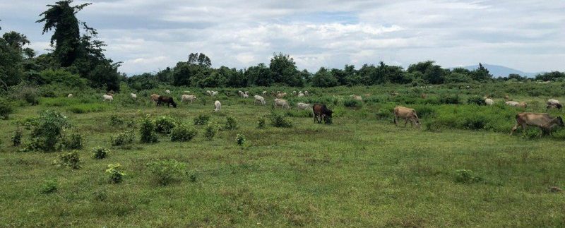 photo_2019-09-09_10-38-41