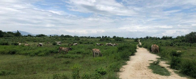 photo_2019-09-09_10-38-43