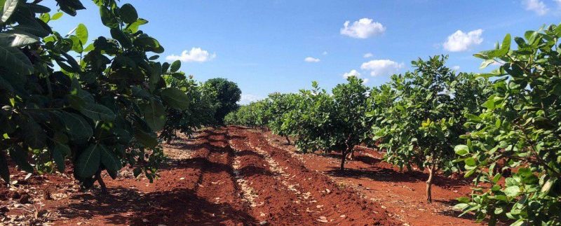 photo_2019-12-06_15-44-54