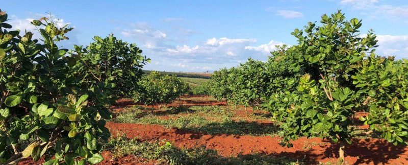 photo_2019-12-06_15-45-03