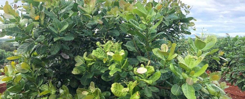 photo_2019-12-06_15-45-11