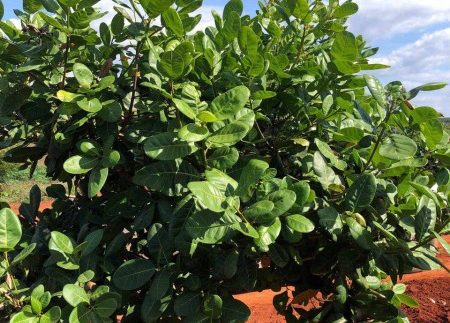 photo_2019-12-06_15-45-23