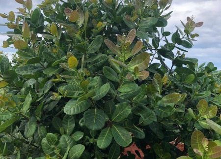 photo_2019-12-06_15-45-34