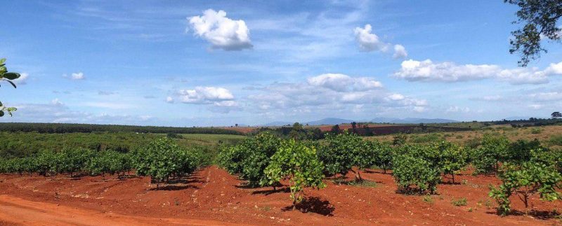 photo_2019-12-06_15-45-36