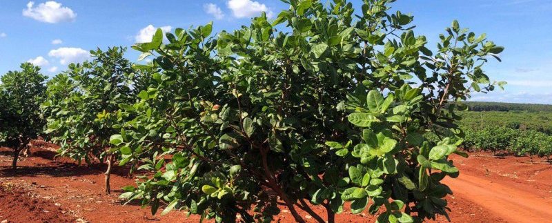 photo_2019-12-06_15-45-38